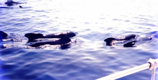  Encuentros inolvidables 